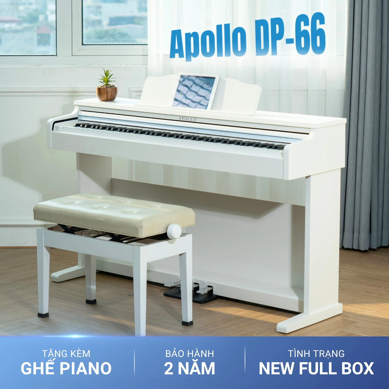 Hướng dẫn sử dụng Piano Apollo DP66 (BL)