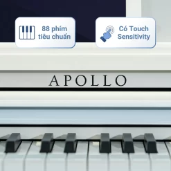 Piano Apollo DP-66 (WH): Đàn Piano Điện Chất Lượng Cao Dành Cho Người Mới Bắt Đầu