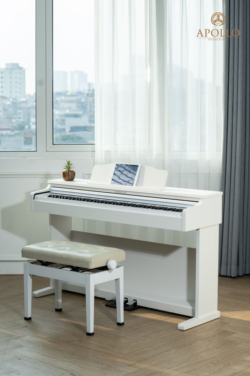 So sánh Piano Apollo DP66 (WH) với các mẫu piano khác