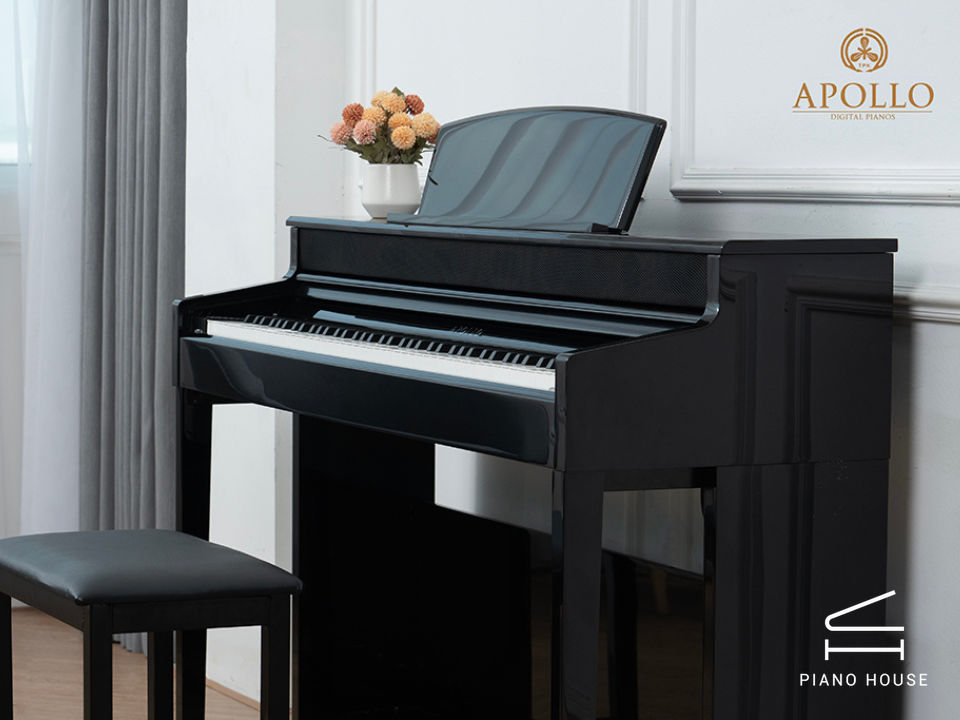 So sánh Piano Apollo KP88 với các sản phẩm cùng phân khúc