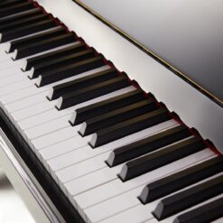 Piano Apollo Ru-8: Đánh Giá Chất Lượng Âm Thanh Và Tính Năng Đáng Mua