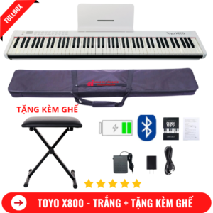 Các tính năng nổi bật của Piano Bora BXII đen