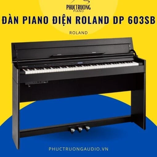 Đàn Piano Điện Roland DP 603SB